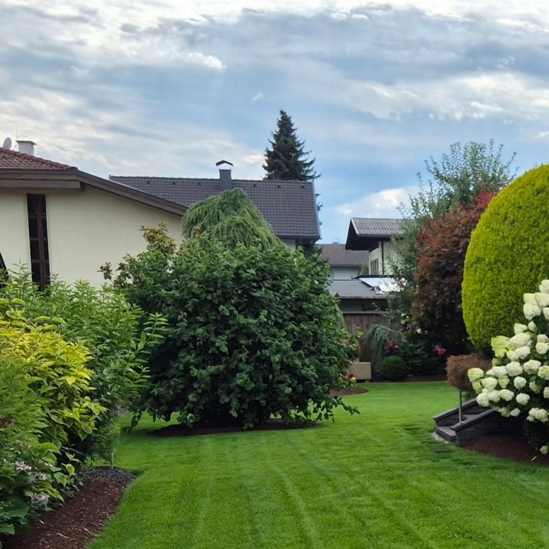 Gepflegter Garten von Halm und Gras